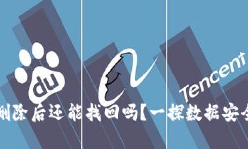 TP钱包删除后还能找回吗？一探数据安全的真相