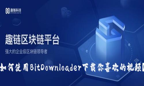 如何使用BitDownloader下载你喜欢的视频？