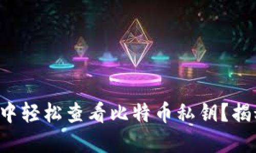 如何在TP钱包中轻松查看比特币私钥？揭秘背后的秘密！