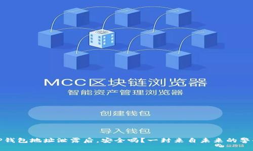 TP钱包地址泄露后，安全吗？一封来自未来的警告