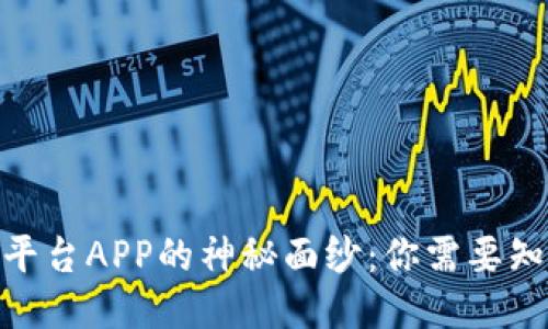 揭开USDT平台APP的神秘面纱：你需要知道的一切！