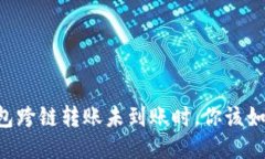 当TP钱包跨链转账未到账时