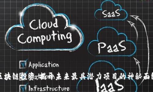 区块链投资：揭开未来最具潜力项目的神秘面纱