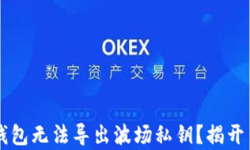 
为什么tp钱包无法导出波场私钥？揭开背后的真相
