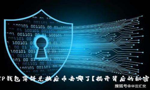 TP钱包薄饼兑换后币去哪了？揭开背后的秘密！