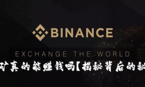 TP钱包挖矿真的能赚钱吗？揭秘背后的秘密与风险