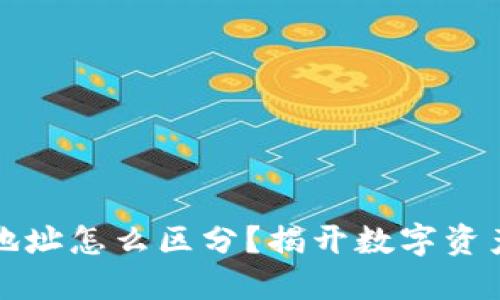 区块链钱包地址怎么区分？揭开数字资产的神秘面纱