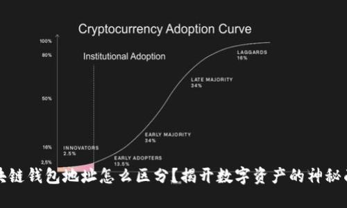 区块链钱包地址怎么区分？揭开数字资产的神秘面纱