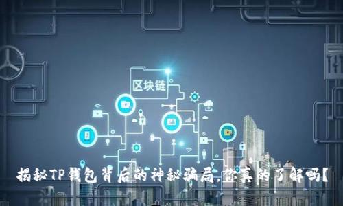 揭秘TP钱包背后的神秘骗局，你真的了解吗？