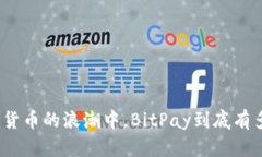 在数字货币的浪潮中，B