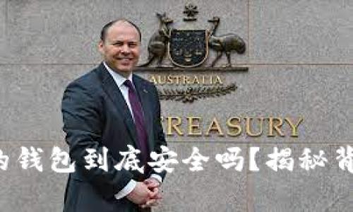 存虚拟币的钱包到底安全吗？揭秘背后的真相！