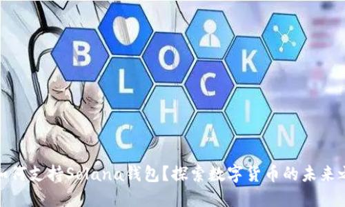 TP如何支持Solana钱包？探索数字货币的未来之路