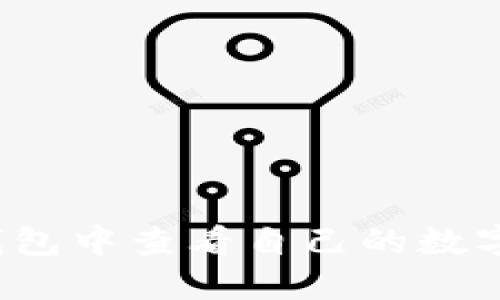 如何在TP钱包中查看自己的数字资产余额？