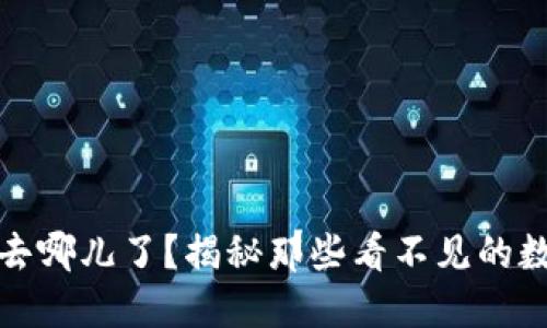 TP钱包里的币去哪儿了？揭秘那些看不见的数字背后的秘密