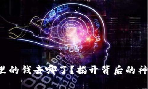 TP钱包里的钱去哪了？揭开背后的神秘面纱！