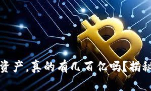 TP钱包里的资产，真的有几百亿吗？揭秘背后的真相