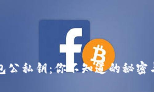 区块链钱包公私钥：你不知道的秘密与安全之道