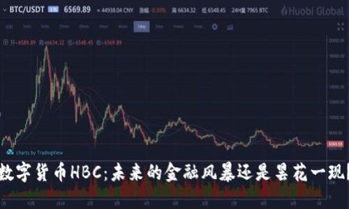 数字货币HBC：未来的金融风暴还是昙花一现？