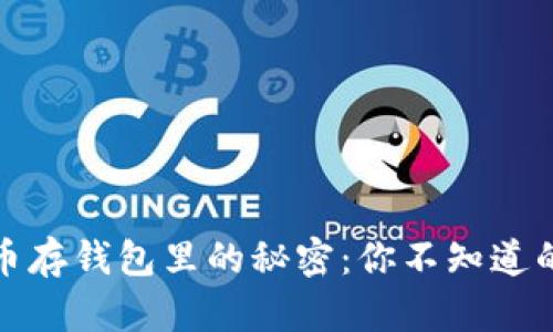 国内加密货币存钱包里的秘密：你不知道的隐患与机遇