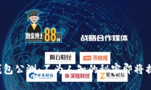 TP钱包公测：不为人知的秘密即将揭晓！