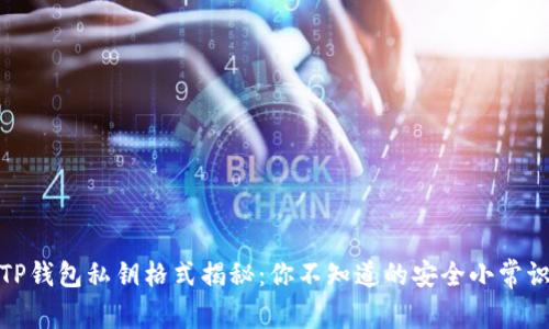 TP钱包私钥格式揭秘：你不知道的安全小常识