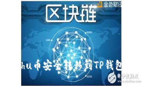 如何将Kishu币安全转移到TP钱包：全面指南