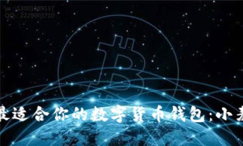 如何选择最适合你的数字货币钱包：小麦官网详解