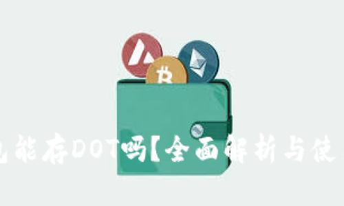 TP钱包能存DOT吗？全面解析与使用指南