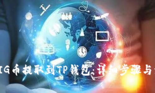 如何将PIG币提取到TP钱包：详细步骤与注意事项