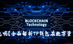 预售支持TP钱包吗？全面解