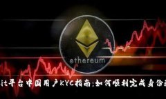 Bybit平台中国用户KYC指南：