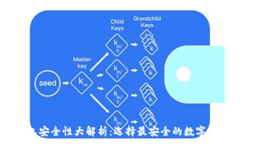 虚拟币钱包安全性大解析:选择最安全的数字资产存储方案