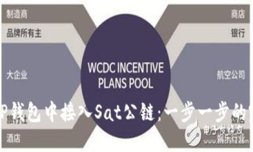 如何在TP钱包中接入Sat公链：一步一步的完全指南