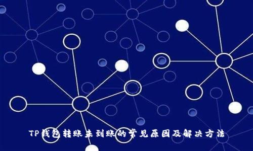 TP钱包转账未到账的常见原因及解决方法