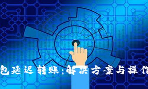 TP钱包延迟转账：解决方案与操作指南