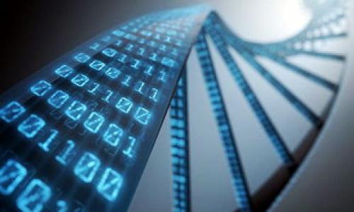 biao ti/biao tiTP钱包手把手教程：轻松掌握数字资产管理/biao ti

TP钱包, 数字资产, 钱包使用教程, 加密货币/guanjianci

### 内容主体大纲

1. 引言
   - 数字资产的兴起
   - TP钱包介绍

2. TP钱包安装
   - 选择合适的设备
   - 在不同平台上的下载与安装步骤

3. TP钱包账户注册
   - 注册步骤详解
   - 注意事项与安全设置

4. TP钱包的基本功能
   - 资产管理
   - 交易流程
   - 内置交换功能

5. TP钱包的安全性
   - 私钥与助记词
   - 防钓鱼攻击技巧
   - 定期备份的重要性

6. 常见问题解答
   - 常见故障及解决方案
   - 用户体验分享

7. 结论
   - 未来的数字资产管理趋势
   - TP钱包的前景

---

### 引言

近年来，数字货币如比特币、以太坊等的兴起，让越来越多的人开始关注数字资产的管理。而TP钱包作为一款易于使用且功能丰富的数字资产管理工具，受到了广泛用户的欢迎。在本教程中，我们将手把手教大家如何使用TP钱包，从安装到基本功能，再到安全设置，确保每个人都能轻松掌握数字资产的管理。

### TP钱包安装

选择合适的设备
TP钱包支持多种设备，包括手机和电脑。根据个人的使用习惯选择合适的设备，将有助于更好地管理数字资产。

在不同平台上的下载与安装步骤
在手机在线应用商店中搜索“TP钱包”，点击下载并安装。在电脑上，可以访问TP钱包官方网站，选择适合你操作系统的版本进行下载。安装过程简单，只需按照提示进行操作即可。

### TP钱包账户注册

注册步骤详解
打开TP钱包应用，首先需要创建一个新账户。在输入邮箱和设置密码后，系统将发送一封确认邮件，点击链接即可完成注册。

注意事项与安全设置
在注册的过程中，务必妥善保管密码，并启用双重认证功能，这将大大增加账户的安全性。

### TP钱包的基本功能

资产管理
TP钱包不仅支持多种数字货币的存储，还允许用户查看资产的实时价值，方便用户了解自己资产的变动情况。

交易流程
用户可以在 TP 钱包内轻松进行数字货币的发送与接收，交易过程安全便捷。用户只需输入对方地址和金额，确认交易即可。

内置交换功能
TP钱包还提供内置的交换功能，用户可以在钱包内直接进行币种兑换，省去了转账到交易所的麻烦。

### TP钱包的安全性

私钥与助记词
使用TP钱包时，用户会生成一个私钥和助记词。这些是访问您数字资产的唯一凭证，必须妥善保管，不可泄露给他人。

防钓鱼攻击技巧
为了避免钓鱼攻击，用户应该仅在官方渠道下载钱包，并在访问任何相关网站时检查URL是否正确。

定期备份的重要性
定期备份钱包数据，确保在设备丢失或损坏时仍能找回数字资产。

### 常见问题解答

常见故障及解决方案
在使用TP钱包过程中，用户可能会遇到以下问题，比如无法发送交易、资产未到账等。首先，检查网络连接，确保无问题。如果问题依旧，建议查看TP钱包的官方支持页面或社区论坛，获取最新解决方案。

用户体验分享
许多用户反馈，TP钱包的界面设计简洁友好，操作流程清晰明了，尤其是对新手用户来说，上手非常快。此外，客户支持团队响应迅速，能帮助用户有效解决问题。

### 结论

未来的数字资产管理趋势
随着数字资产的普及，钱包的功能也将持续进化。用户需求的增加将推动钱包更加重视安全性与用户体验。

TP钱包的前景
TP钱包以其简洁、功能丰富、高度安全的特点，在未来数字货币管理领域中有着广阔的发展前景，值得每位用户深入了解和使用。

---

### 相关问题

1. TP钱包的特色功能有哪些？
2. 如何安全地存储和保护我的私钥和助记词？
3. 如果我忘记了密码，该如何找回我的TP钱包账户？
4. TP钱包是否支持多种语言？如何切换语言？
5. TP钱包与其他钱包相比有哪些优势？
6. 如何处理可能出现的交易失败问题？
7. TP钱包的客户服务如何？有什么渠道可以获得帮助？

---

接下来，我将详细阐述每个问题，每个问题的内容不少于700字。继续么？