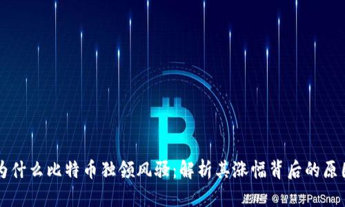 为什么比特币独领风骚：解析其涨幅背后的原因