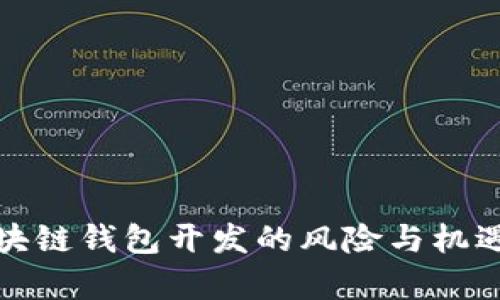 : 区块链钱包开发的风险与机遇解析