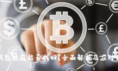 TP钱包被盗能否找回？全面解析及应对策略
