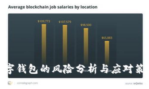 数字钱包的风险分析与应对策略