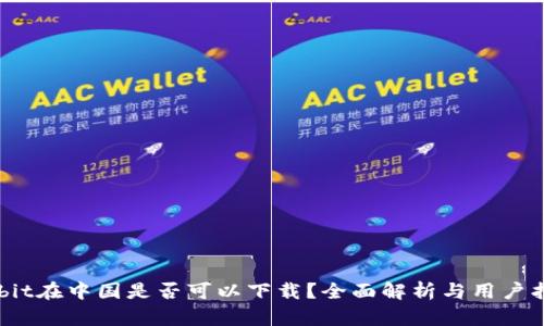 Bybit在中国是否可以下载？全面解析与用户指南