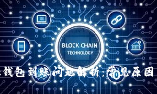 MetaMask钱包到账问题解析：常见原因与解决方法