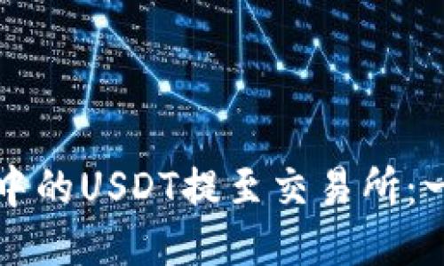 如何将TP钱包中的USDT提至交易所：一步一步的指南