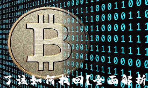 
TP钱包转错了该如何找回？全面解析与应对策略