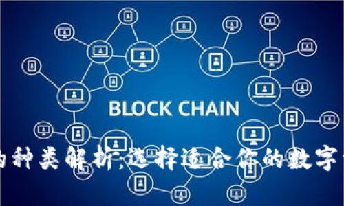 区块链钱包的种类解析：选择适合你的数字资产管理工具