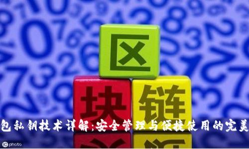 TP钱包私钥技术详解：安全管理与便捷使用的完美结合