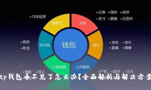 tp钱包币不见了怎么办？全面解析与解决方案