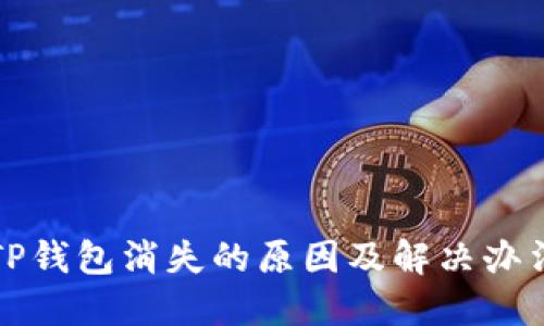 TP钱包消失的原因及解决办法