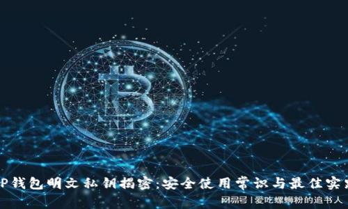 TP钱包明文私钥揭密：安全使用常识与最佳实践