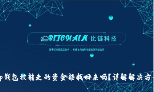 tp钱包被转走的资金能找回来吗？详解解决方案